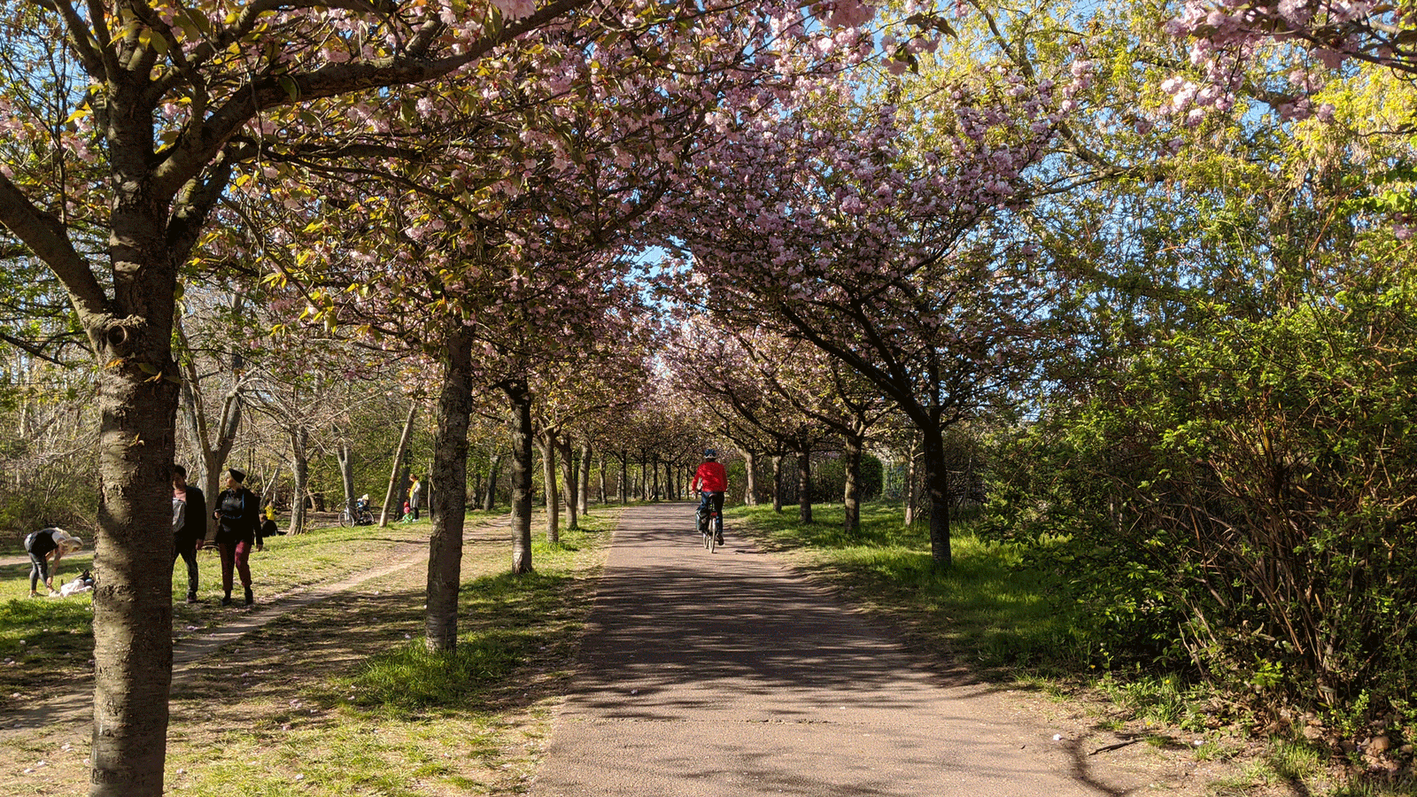 200612 Wetterapps rs2