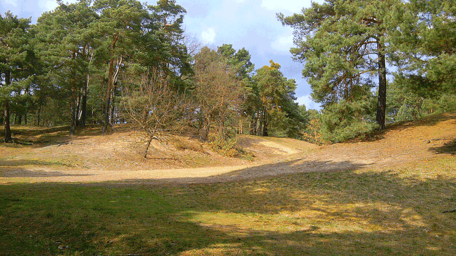 Berlin & Brandenburgs beste rs2 Puettberge