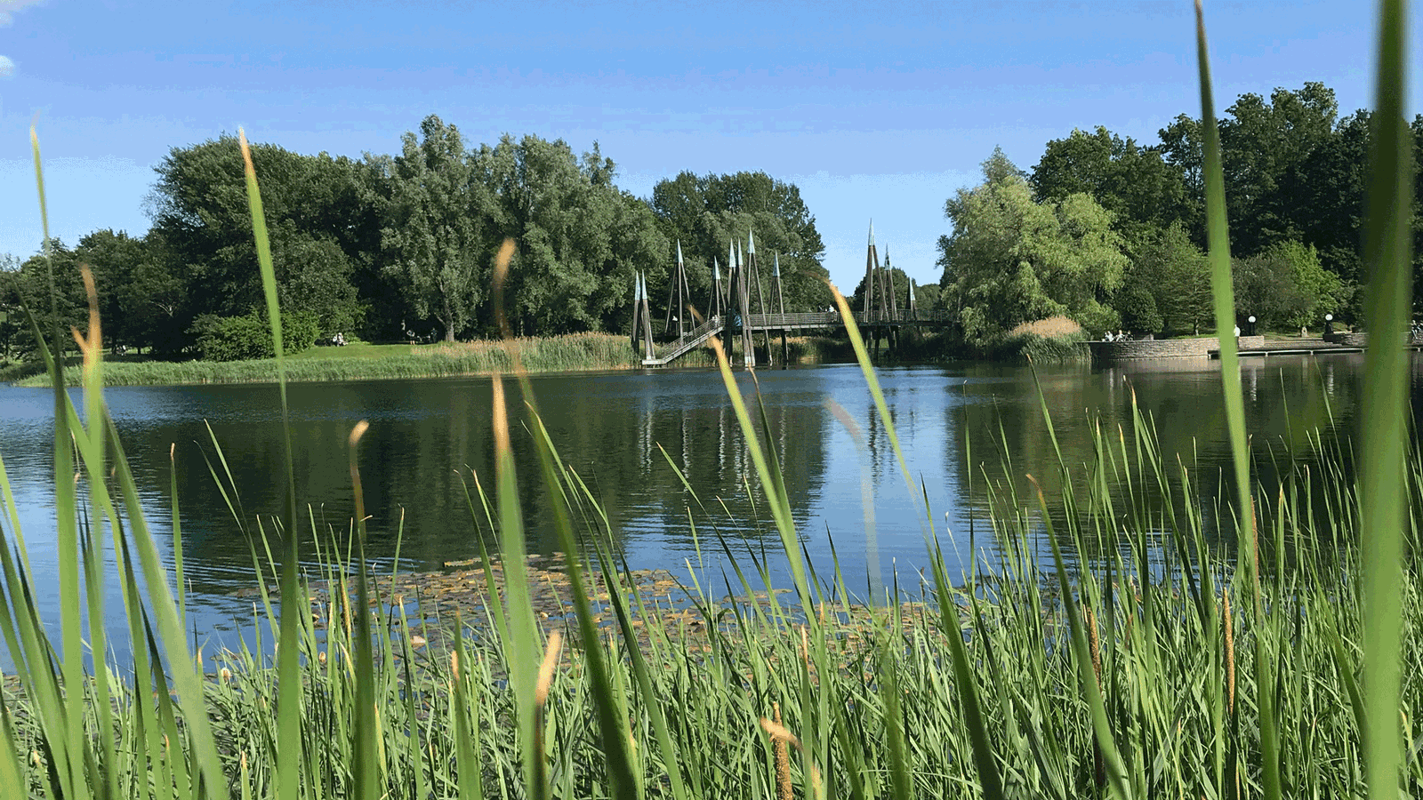 Berlin&Brandenburgs beste rs2 Britzer Garten