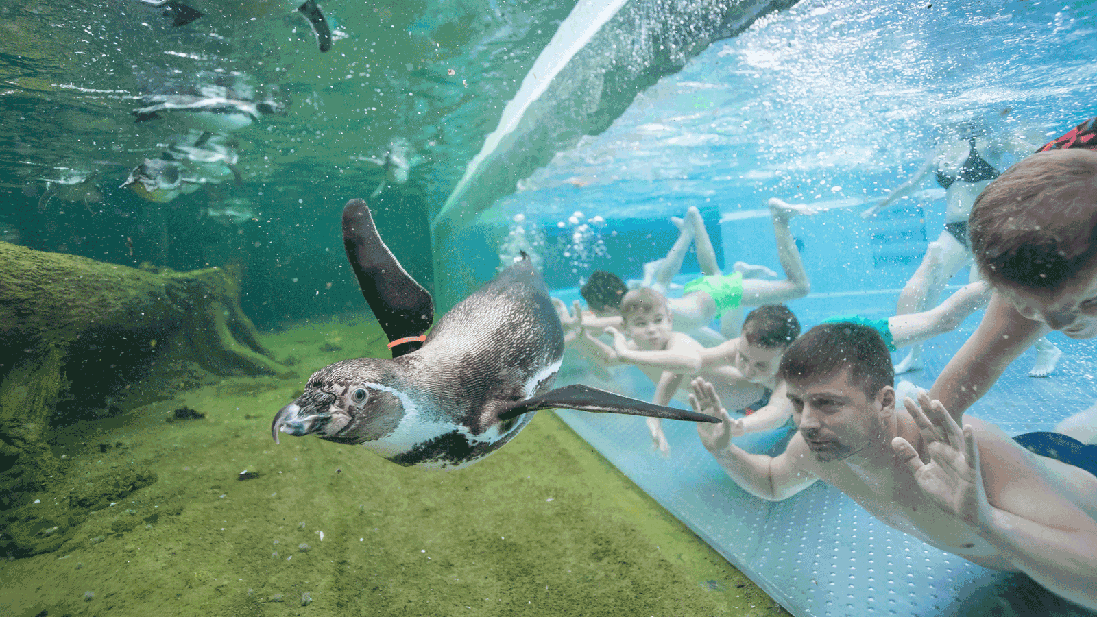 Berlin&Brandenburgs beste rs2 Spreewelten Erlebnisbad