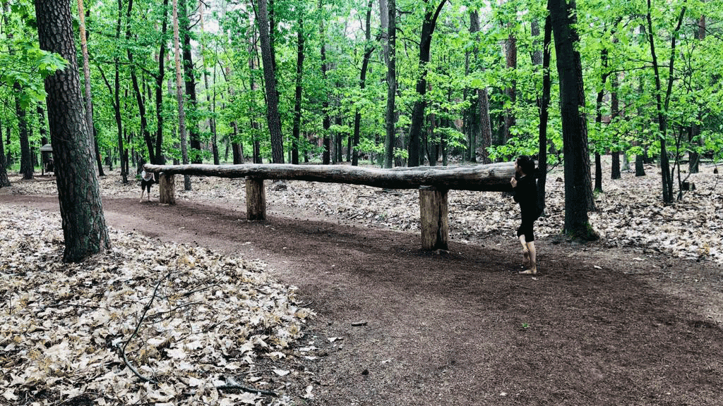 Berling & Brandenburgs beste rs2 Barfußpark Beelitz