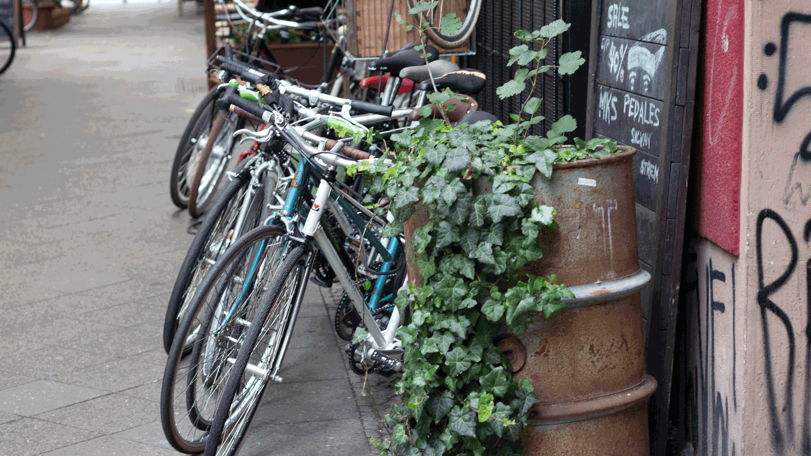 Berlin & Brandenburgs beste rs2 Bike Kitchen