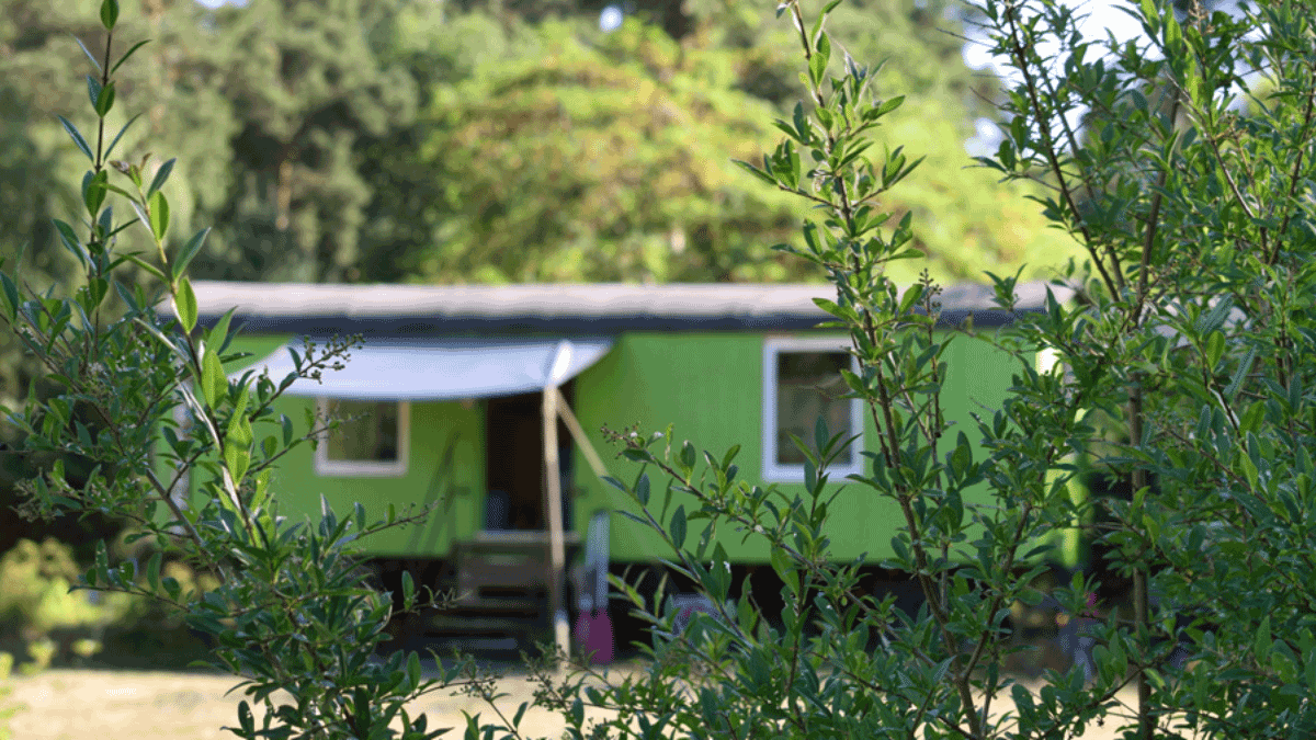 Berlin & Brandenburgs beste rs2 Campingplatz Wentowsee