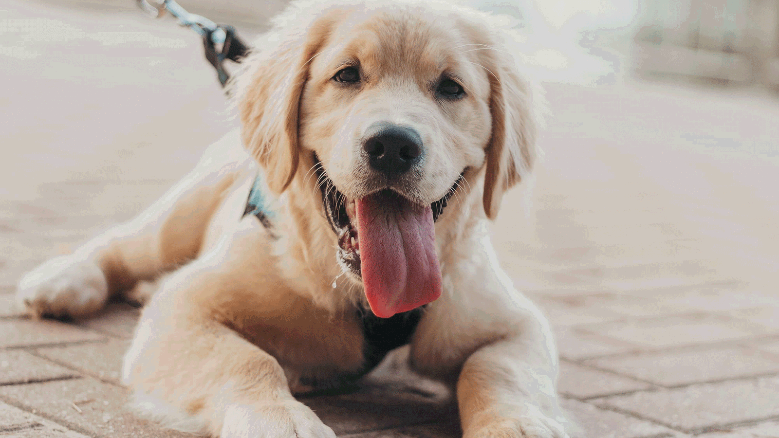 Erlebe Die Stadt Berlin/Potsdam