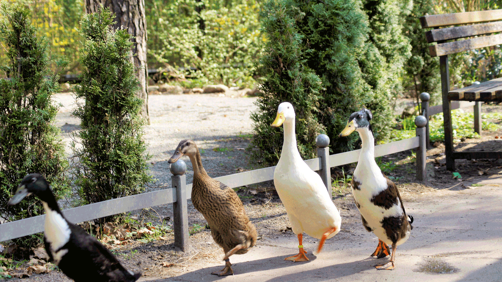 Berlin & Brandenburgs beste rs2 Haus Natur und Umwelt