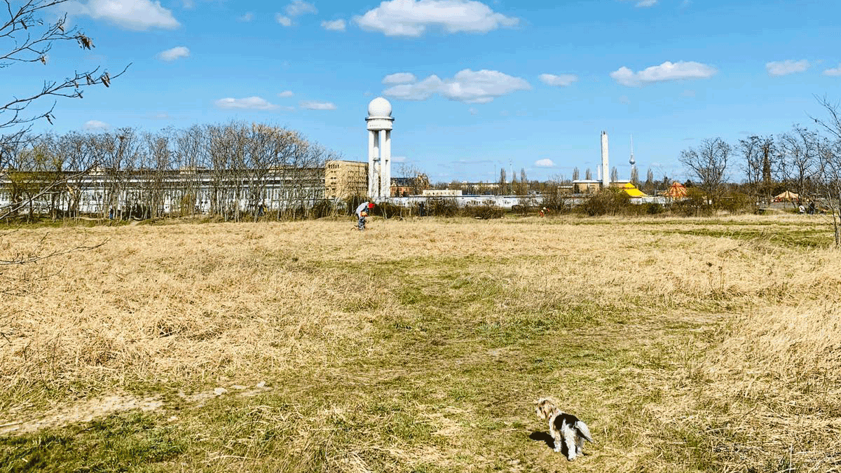 Berlin & Brandenburgs beste rs2 Hundewiese Tempelhof