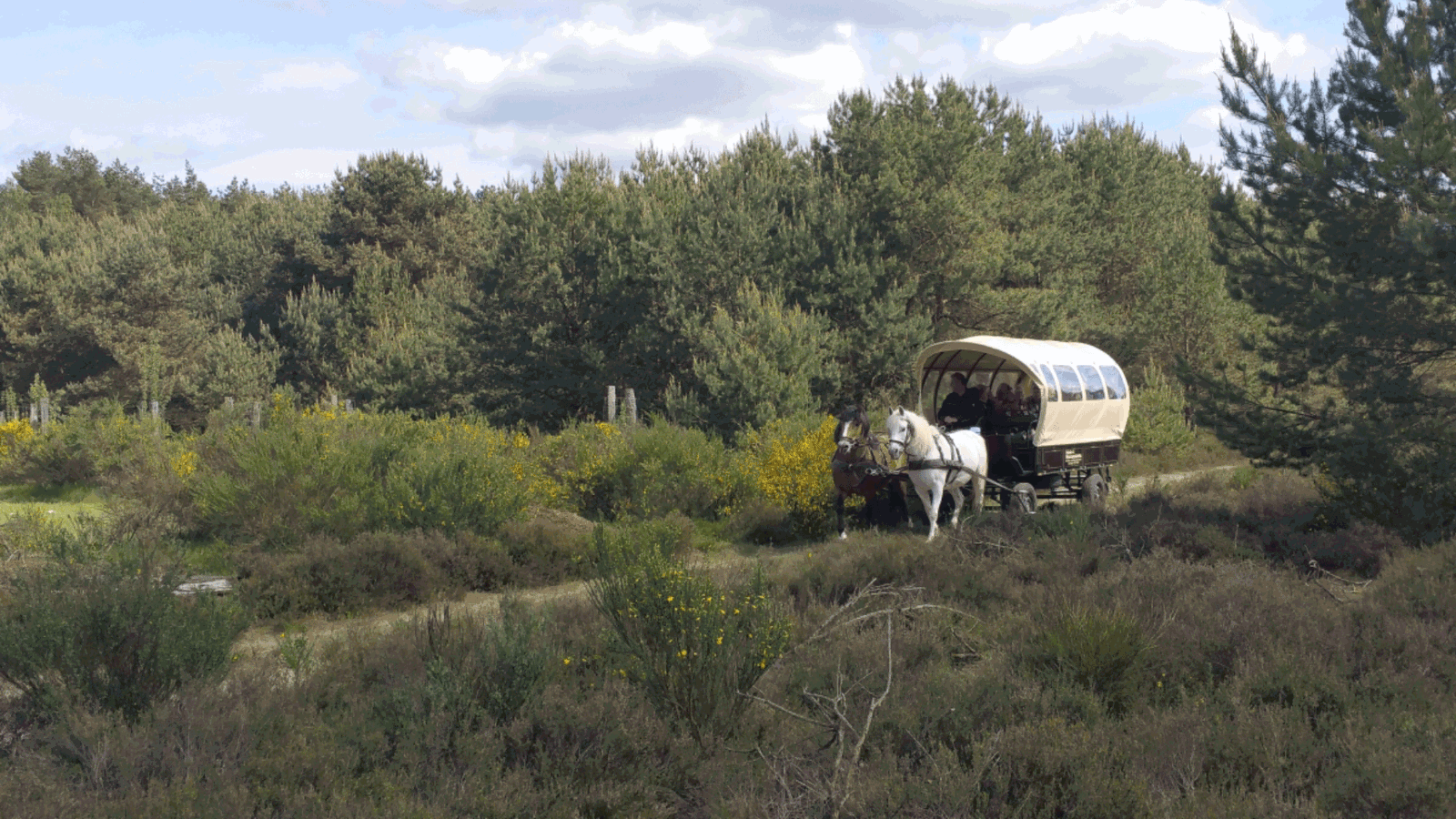 Berlin & Brandenburgs beste rs2 Kutschfahrt