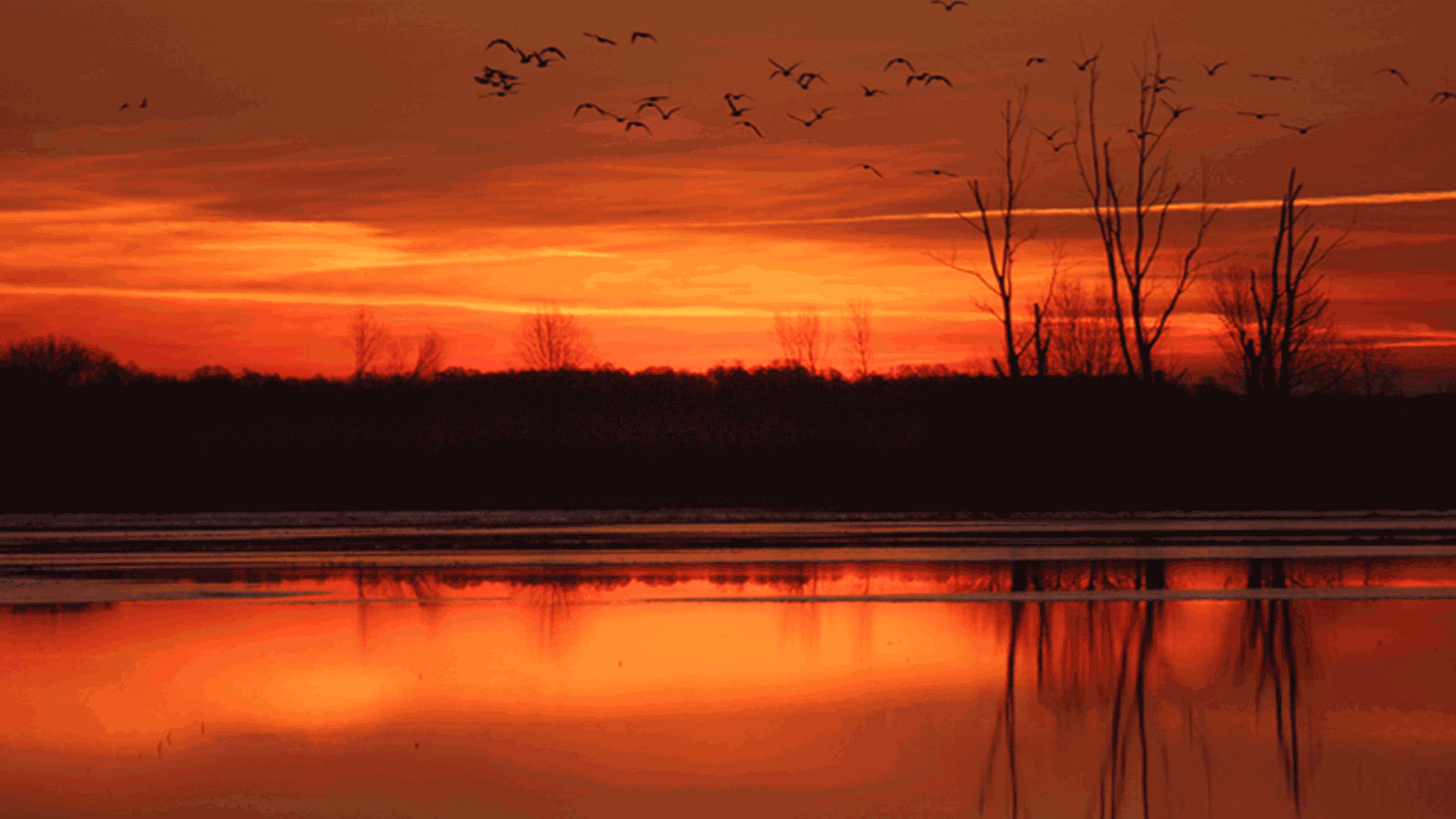 Berlin & Brandenburgs beste rs2 Naturpark in Parey