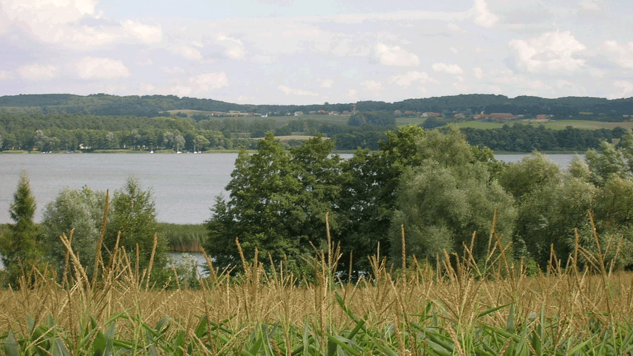 Berlin & Brandenburgs beste rs2 Oberuckersee warnitz