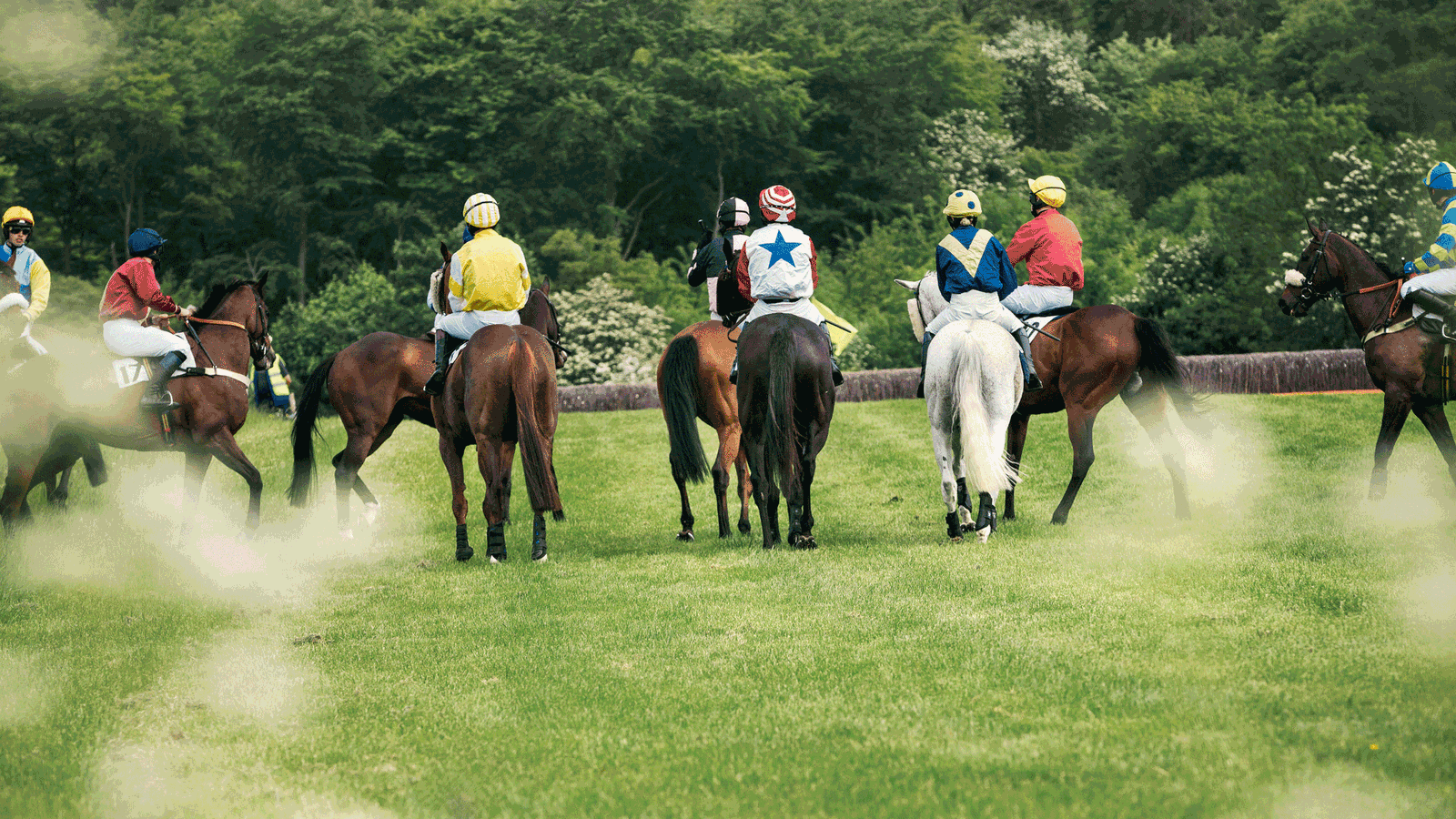 Berlin & Brandenburgs beste rs2 Pferderennen