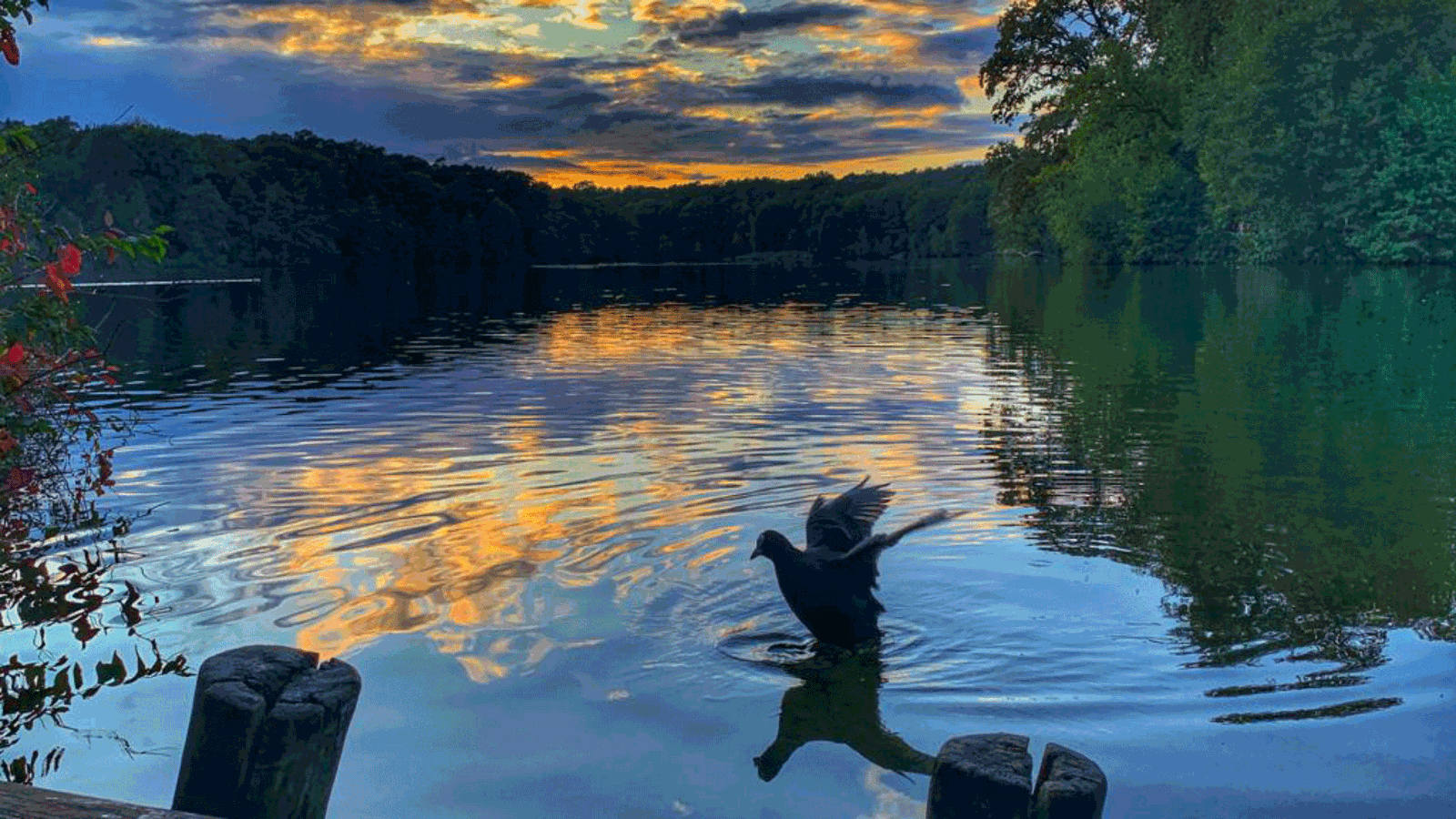 Berlin & Brandenburgs beste rs2 Schlachtensee