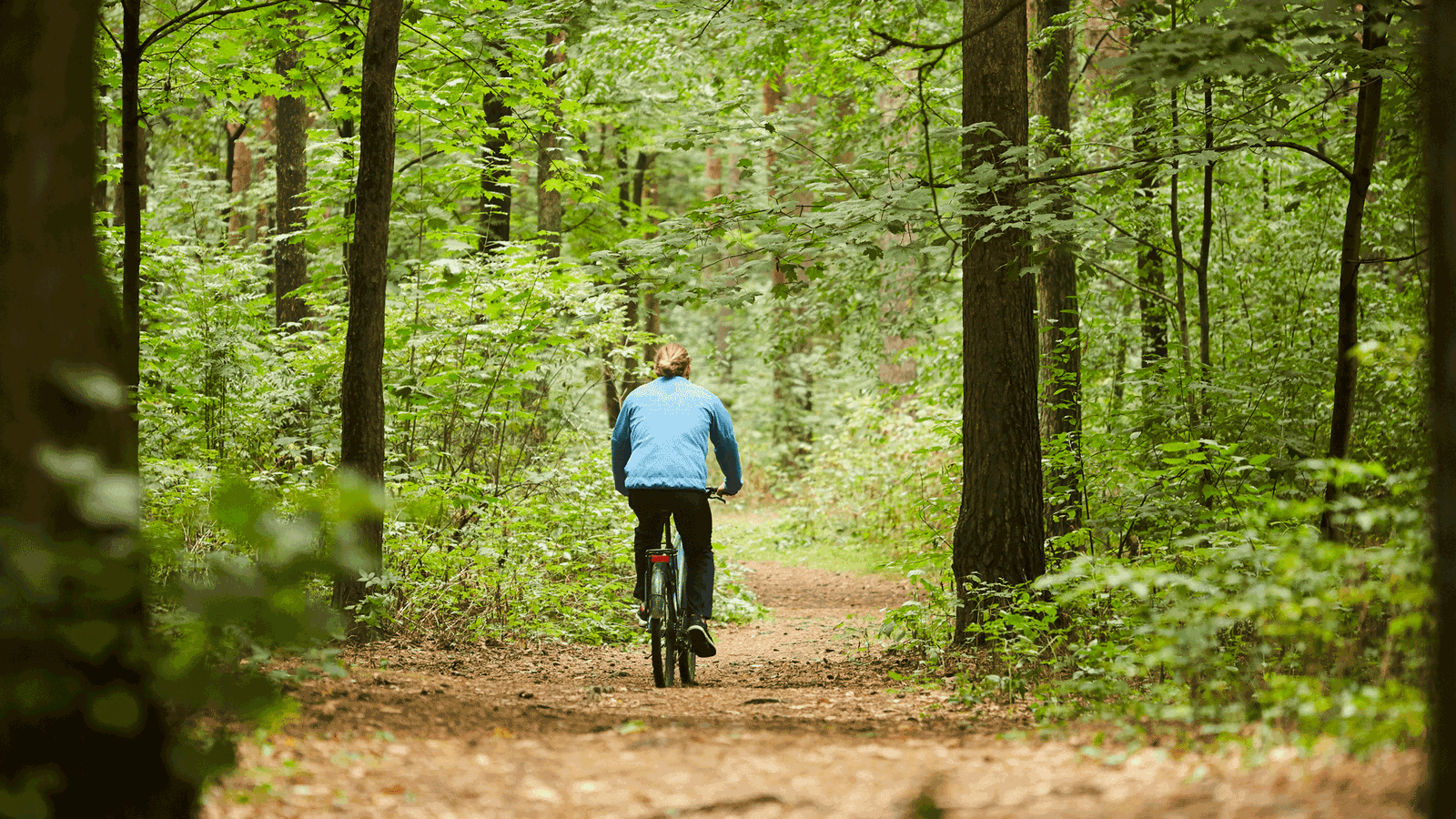Berlin & Brandenburgs beste rs2 Spreerunde ab Erkner