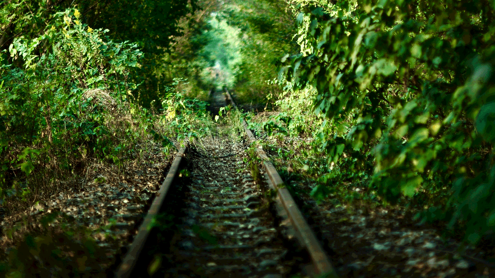 Berlin & brandenburgs beste rs2 stillgeelgte Gleise