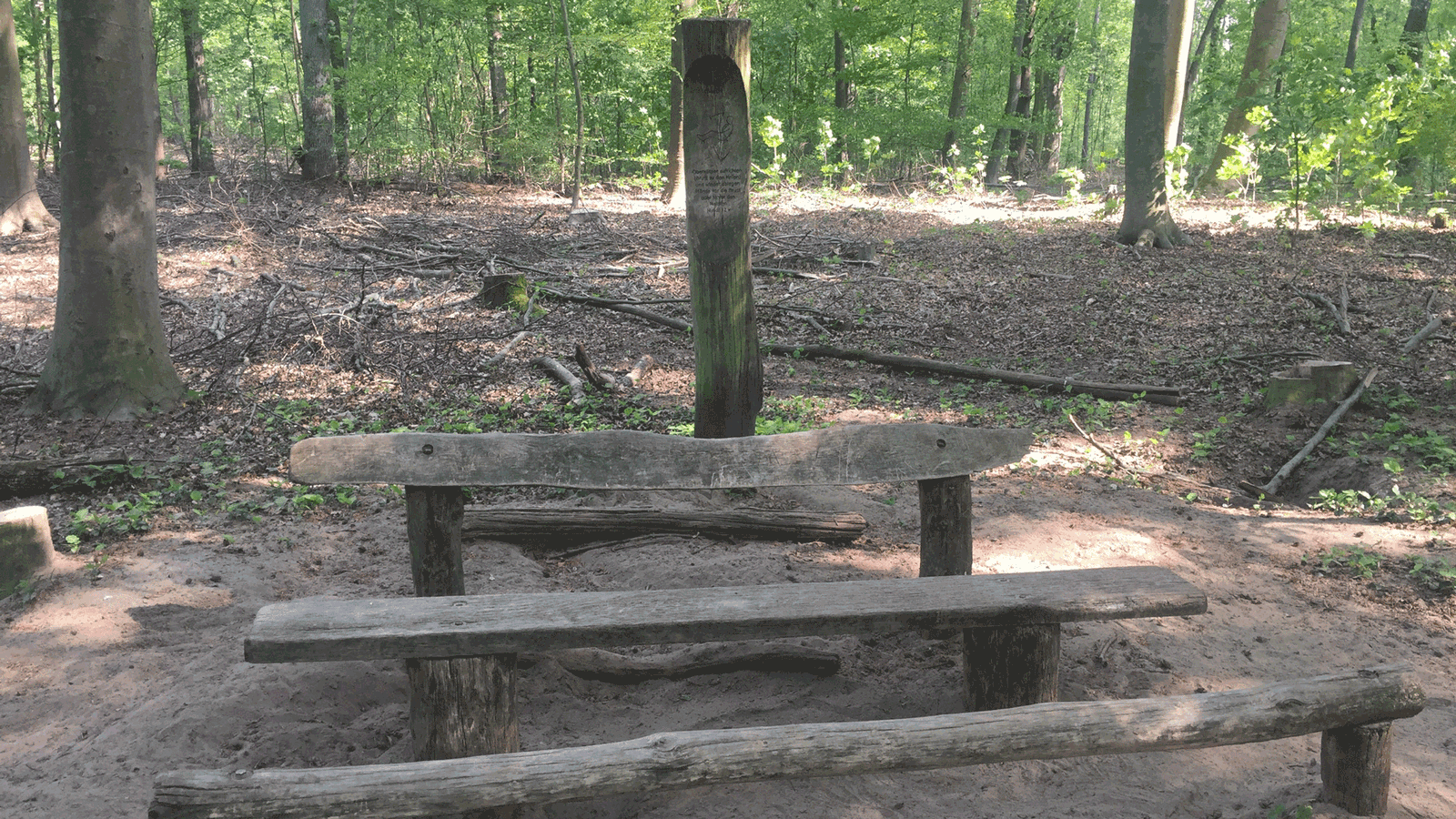 Berlin & Brandenburgs beste rs2 Trimm Dich Pfad