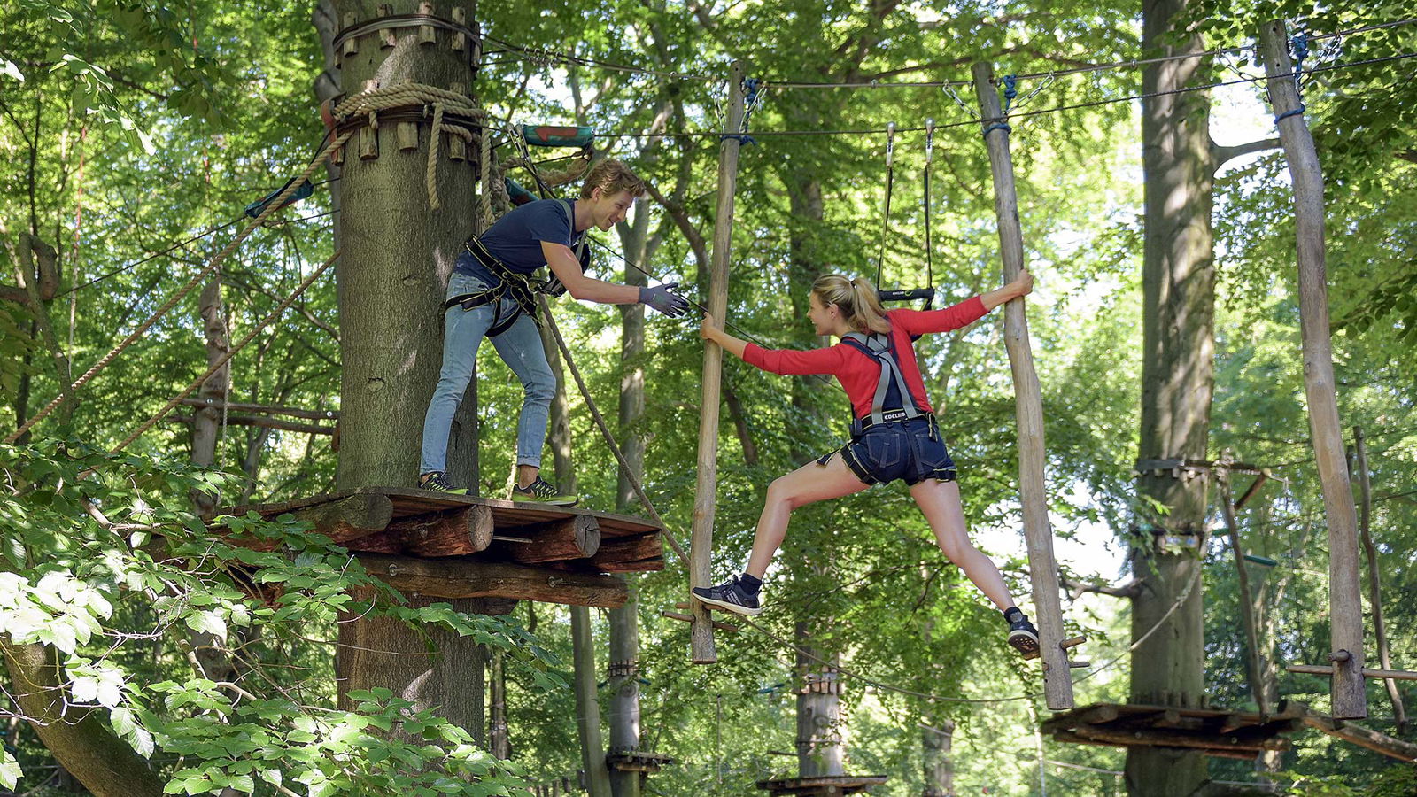 Waldhochseilgarten Jungfernheide