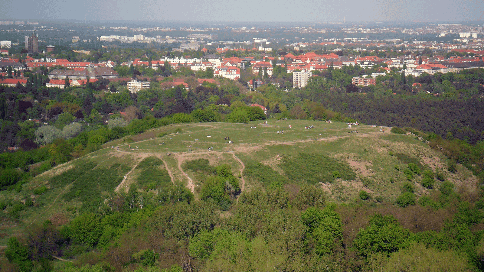Berlin & Brandenburgs beste Drachenberg in Westend