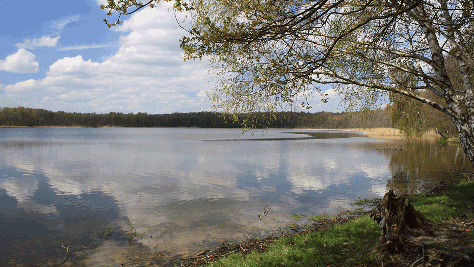 Berlin & Brandenburgs beste Gorinsee Schönwalde