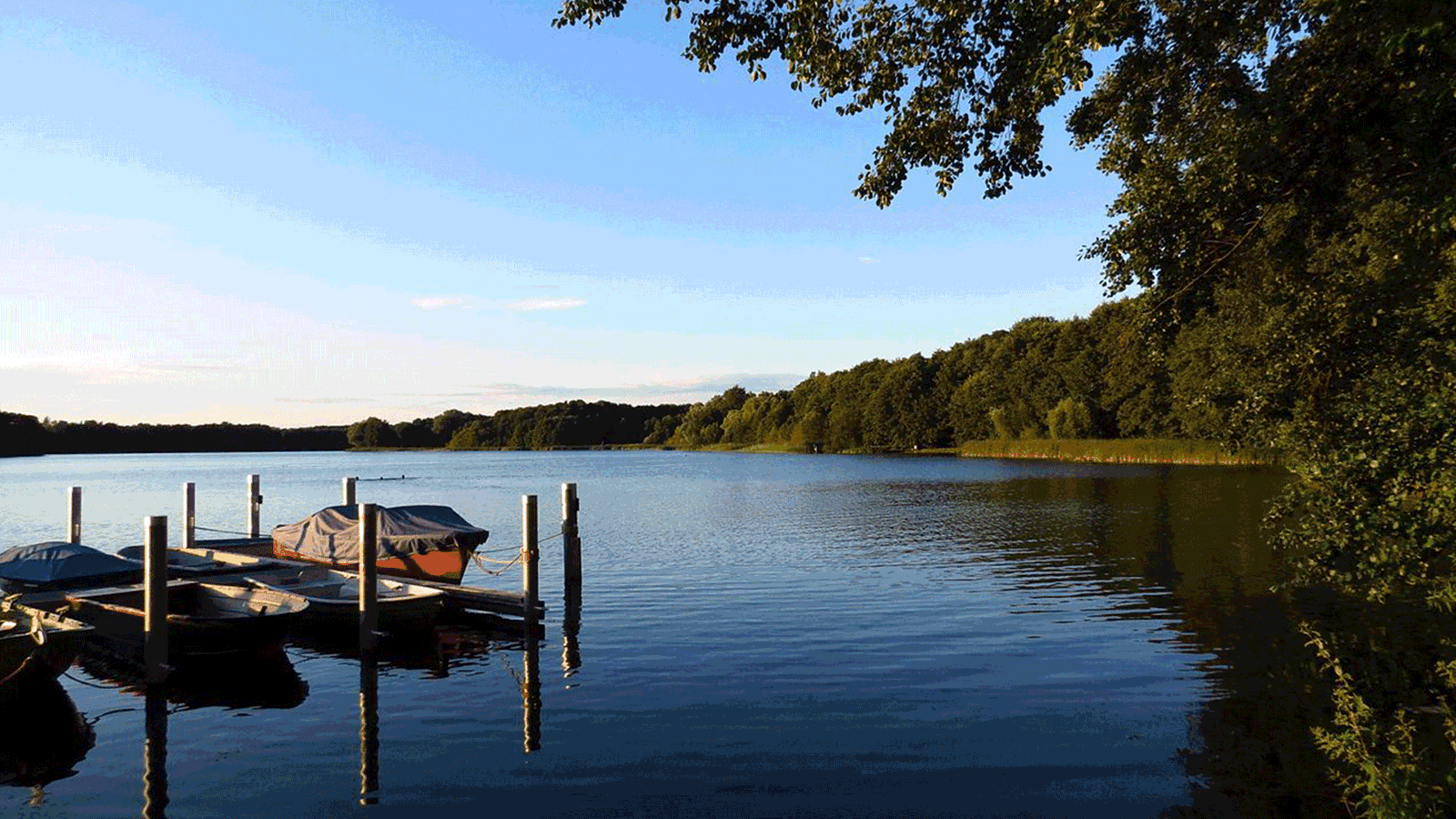 Berlin & Brandenburgs beste Groß Glienicker See