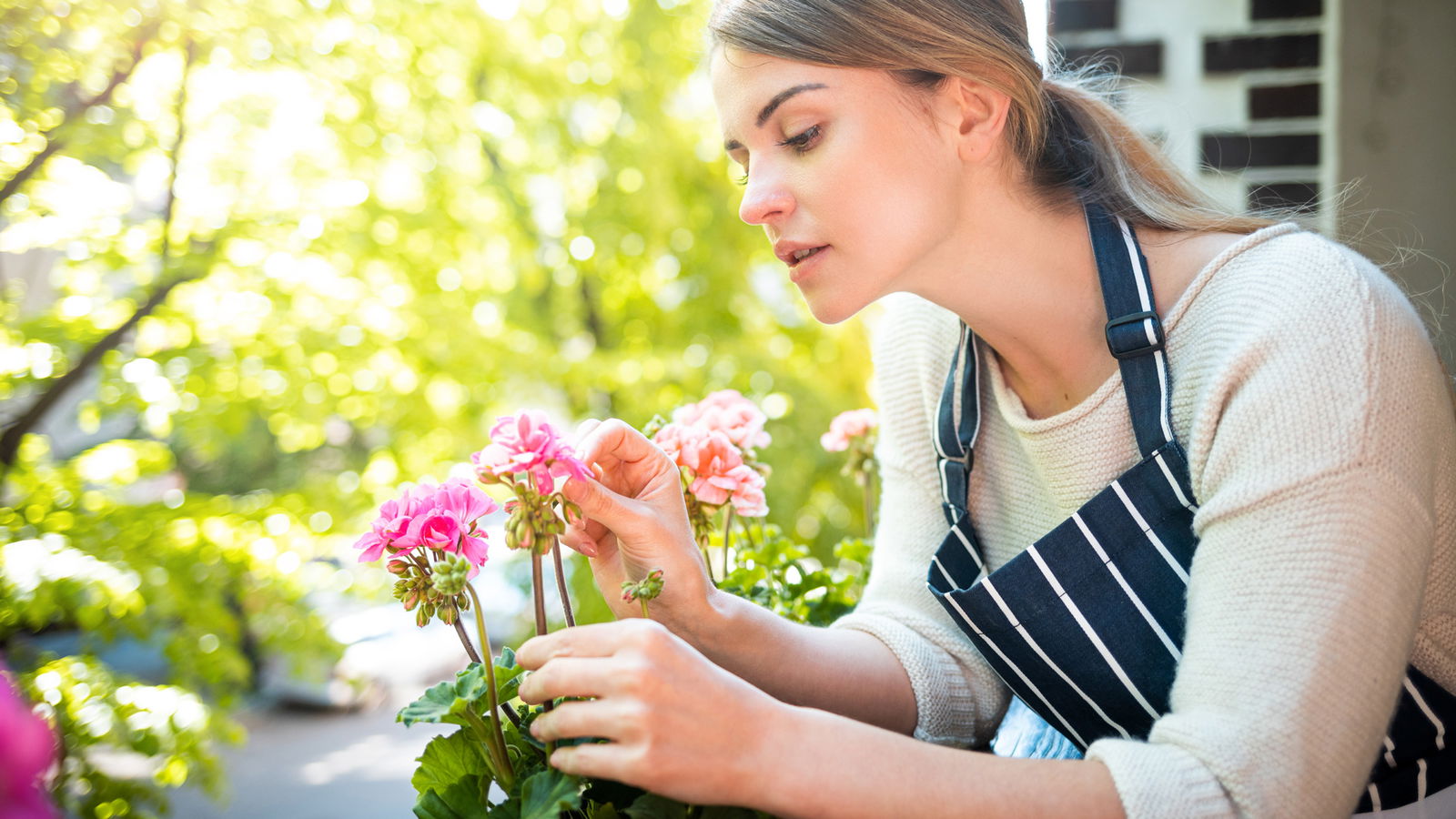 rs2 Pflanzen an heissen Tagen