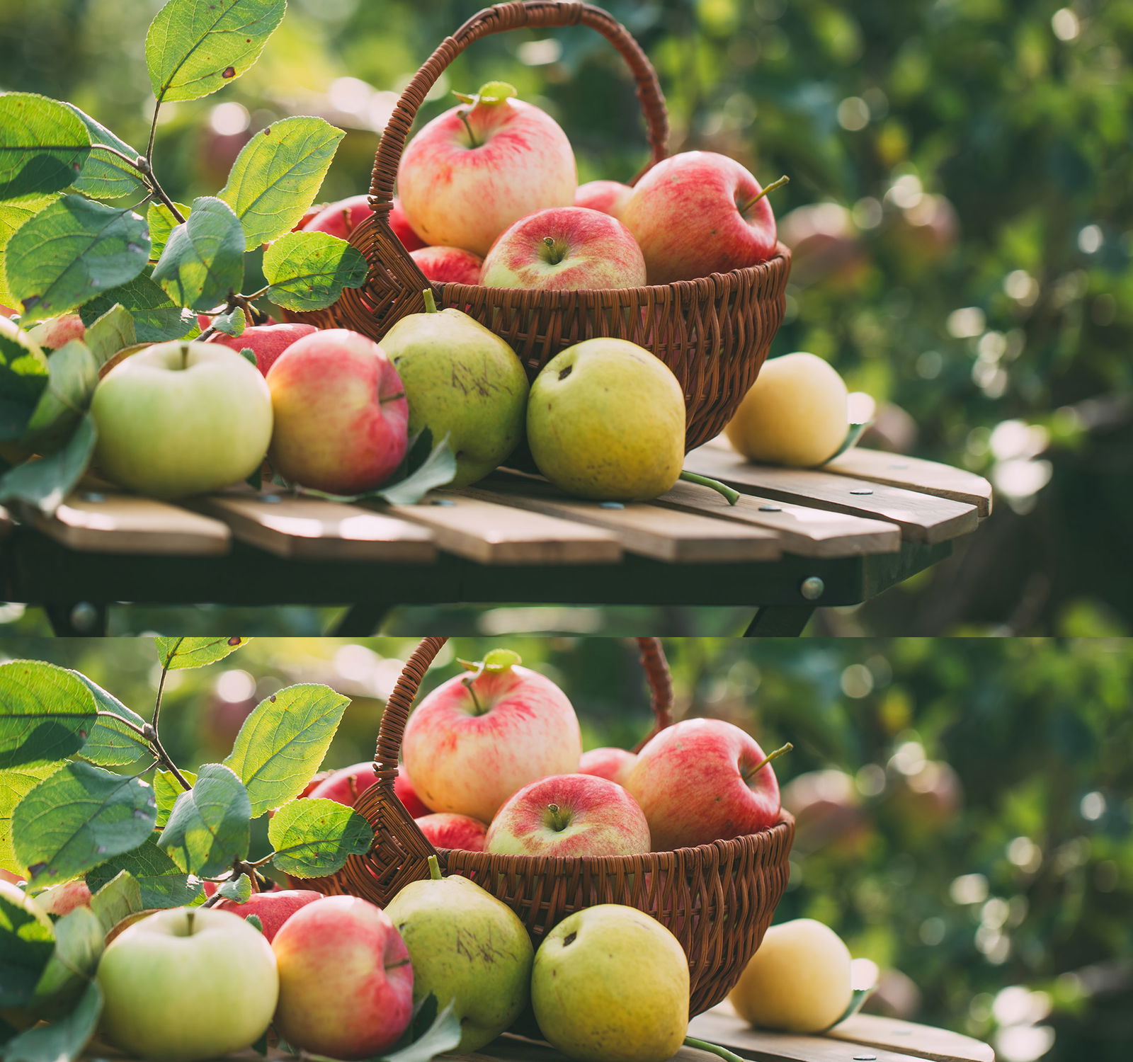 Apfel Rezepte und Tipps