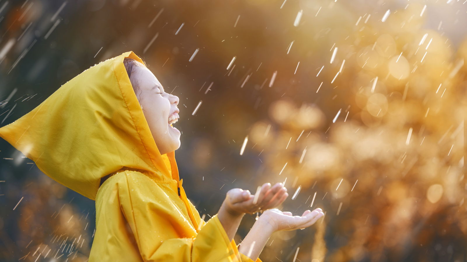 Berlin und Brandenburgs schöne Orte im Herbst verregnete Tage