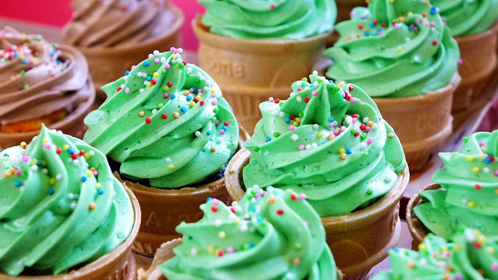 Berlin und Brandenburgs beste Orte im Herbst Cupcake Laden