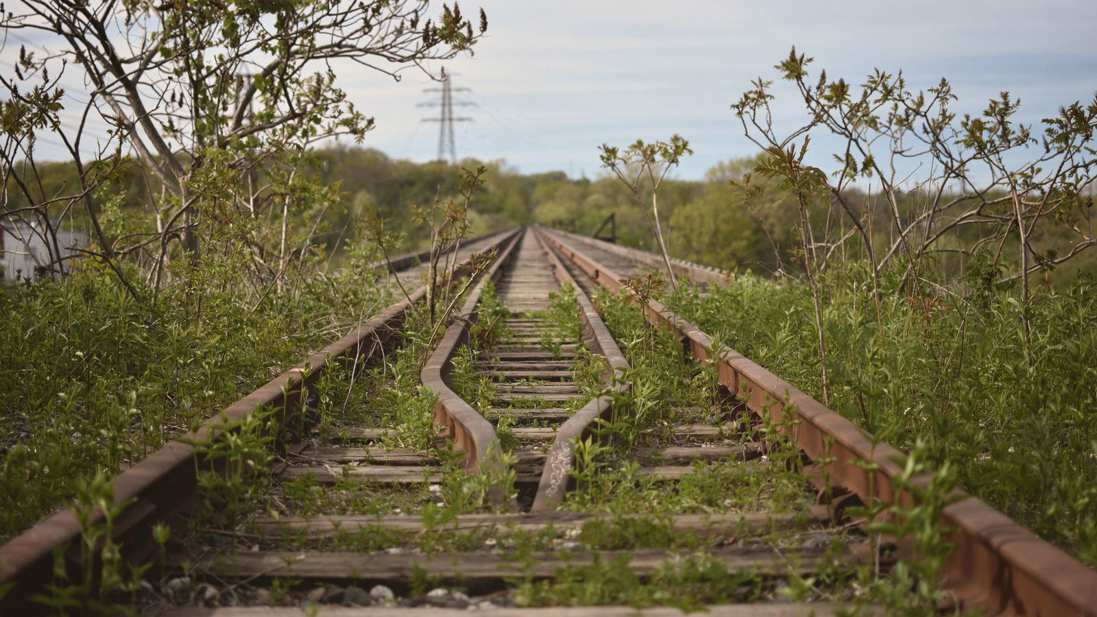Berlin und brandenburgs beste Orte im Herbst stillgelegte Gleise