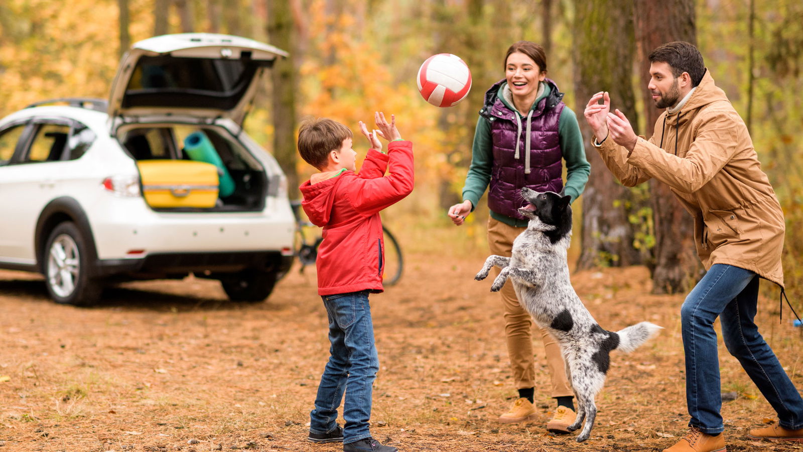 Berlin und Brandenburgs beste Orte im Herbst Familien