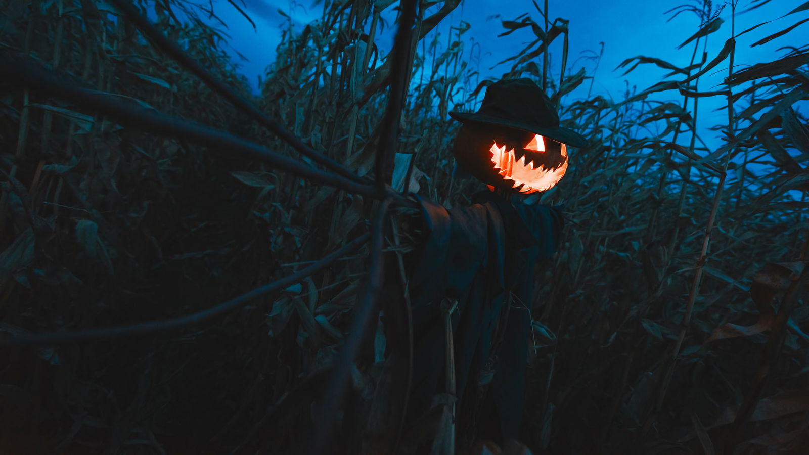 Halloween rs2 Vogelscheuche und Kuerbis