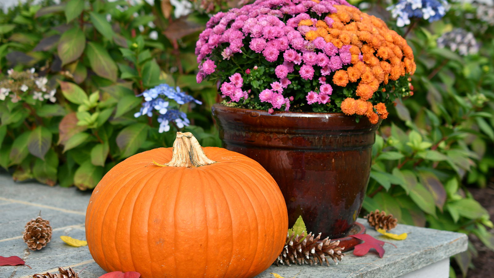 Herbstdeko vor der Haustür