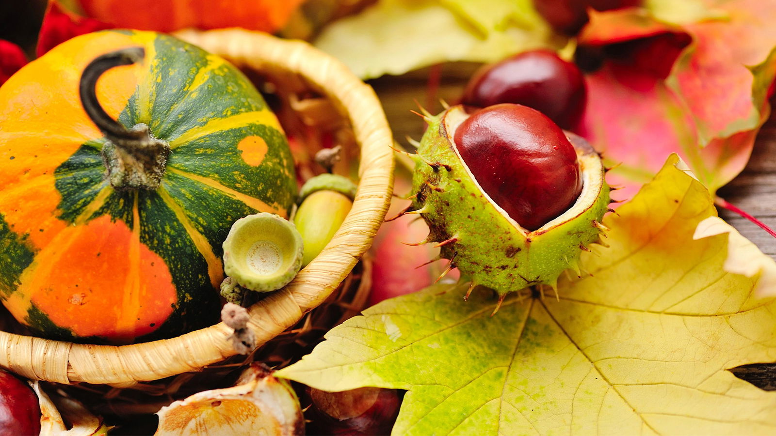 Herbstferien Tipps Basteln mit Naturmaterialien