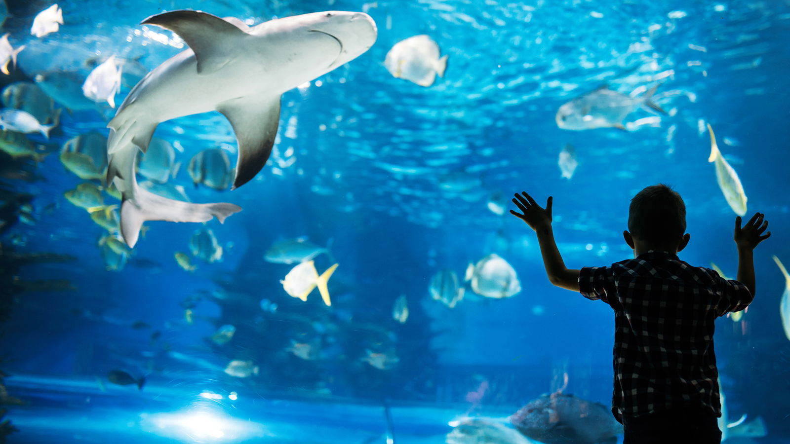 Herbstferien Tipps Zoo und Tierpark