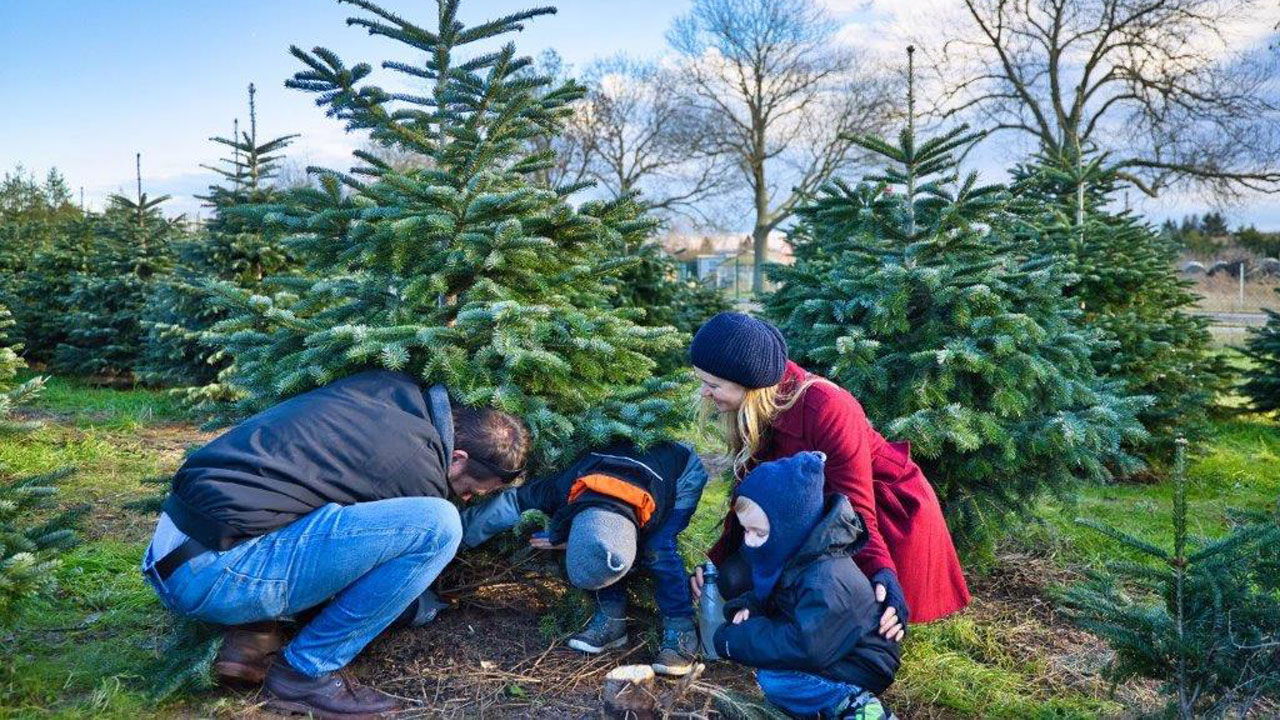 rs2 Werderaner Tannenhof Familie Tannebaum