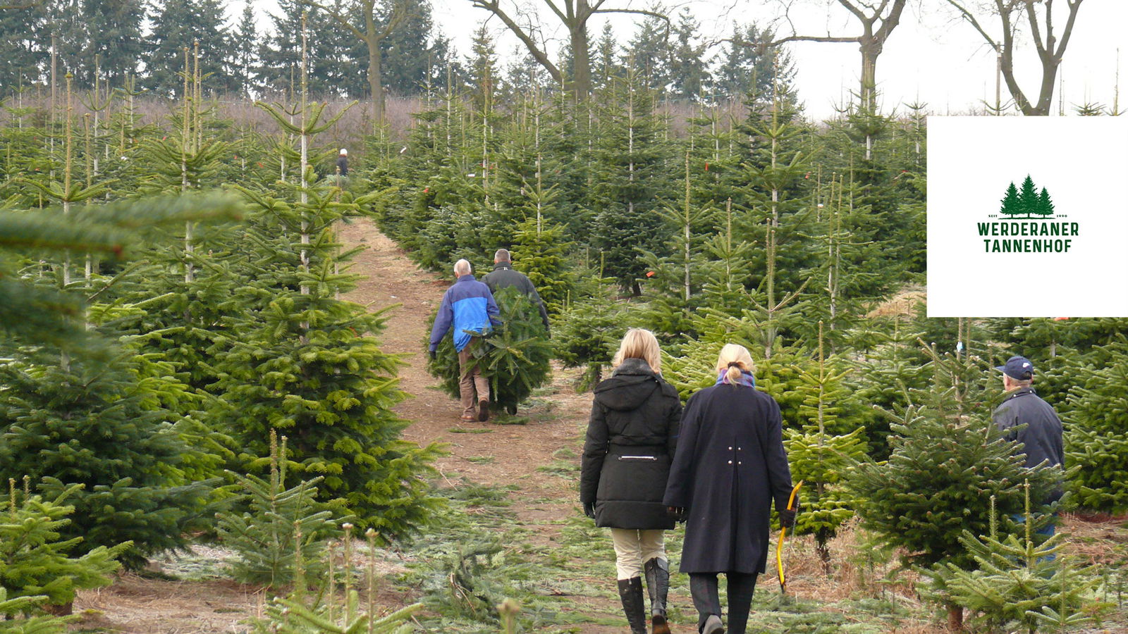 rs2 Werderaner Tannenhof Baum aussuchen