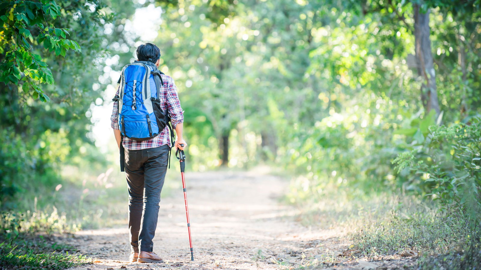 Leben in Berlin und Brandenburg Wandern