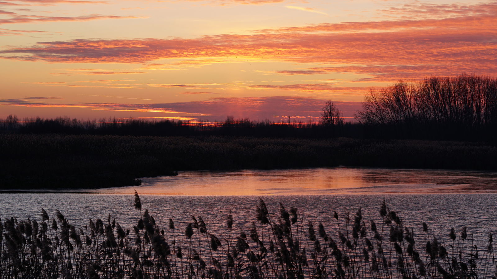 rs2-TOP-3-Sommer-Dinge-Wanderwege-See