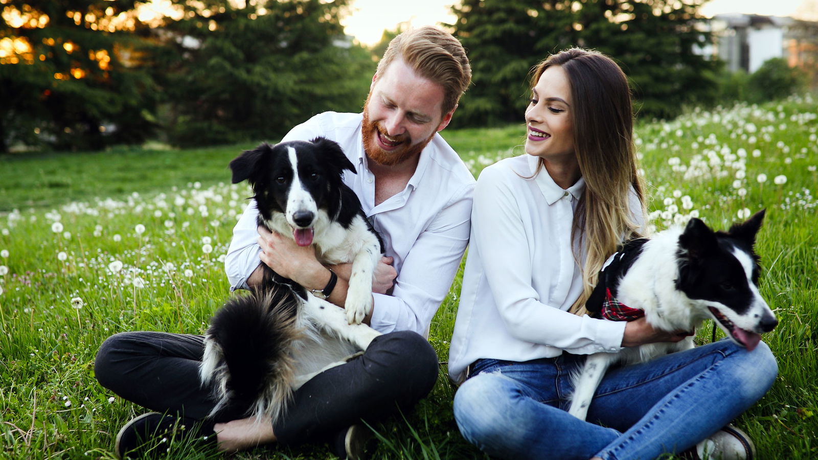 top-3-dinge-sommer-hundebestizer