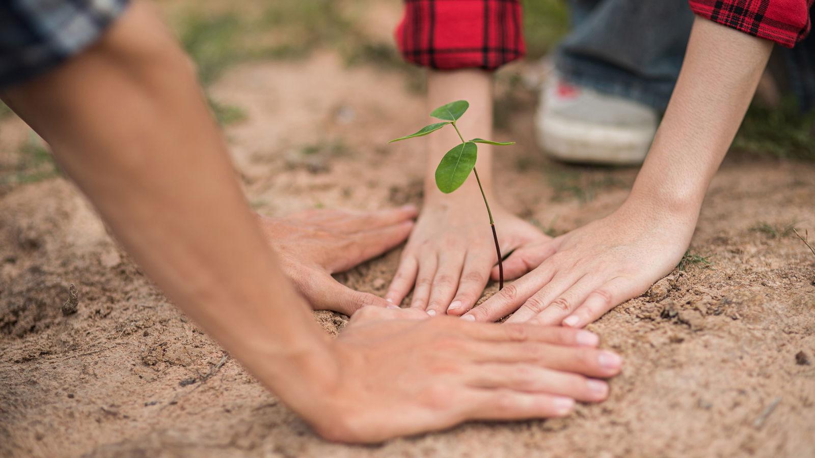 Berliner Freiwilligen Tage