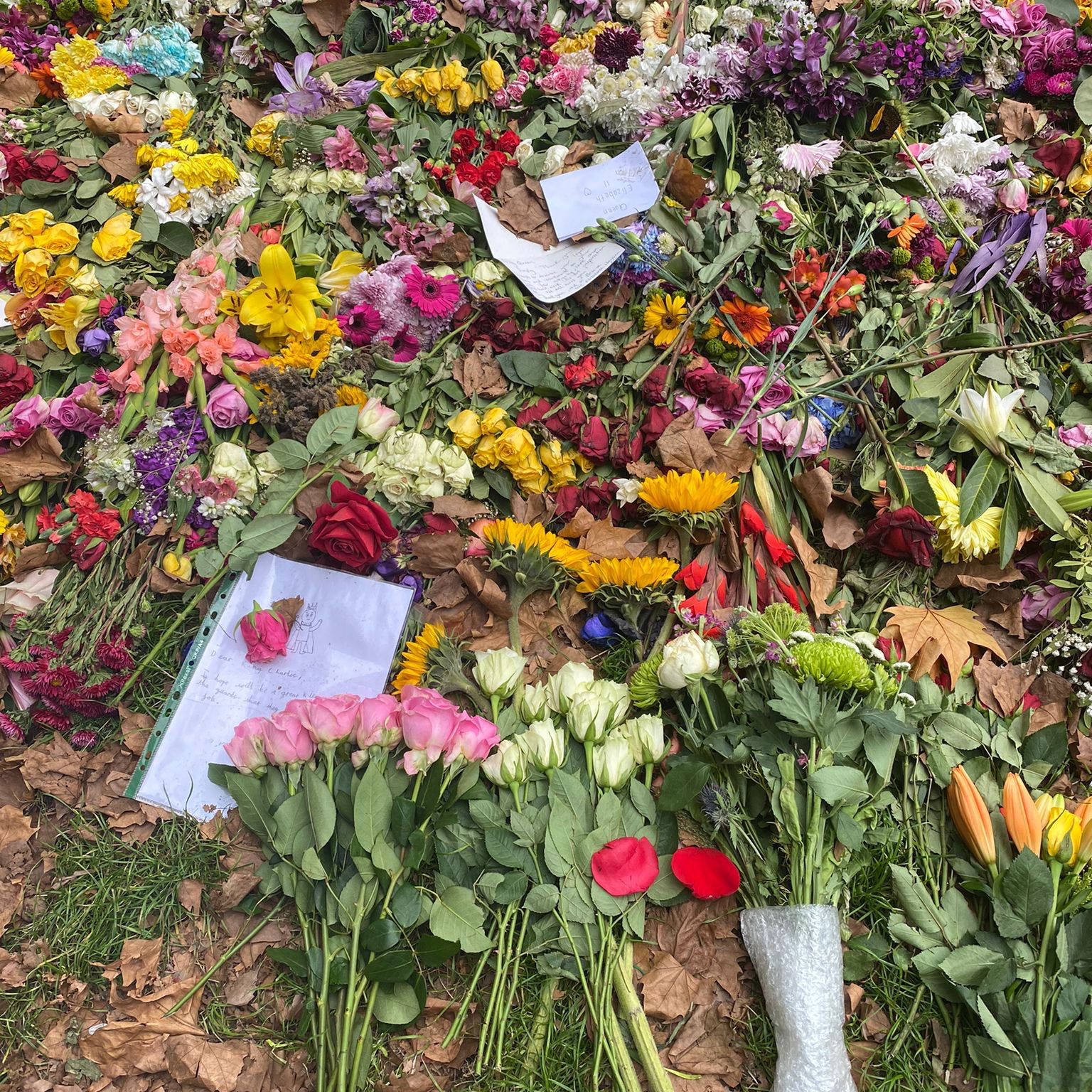 rs2-queen-trauer-header