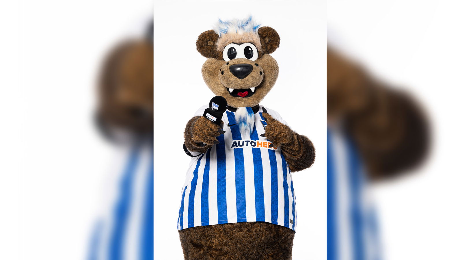 rs2-aktion-hertha-herthinho