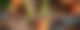 rs2-halloween-all-header