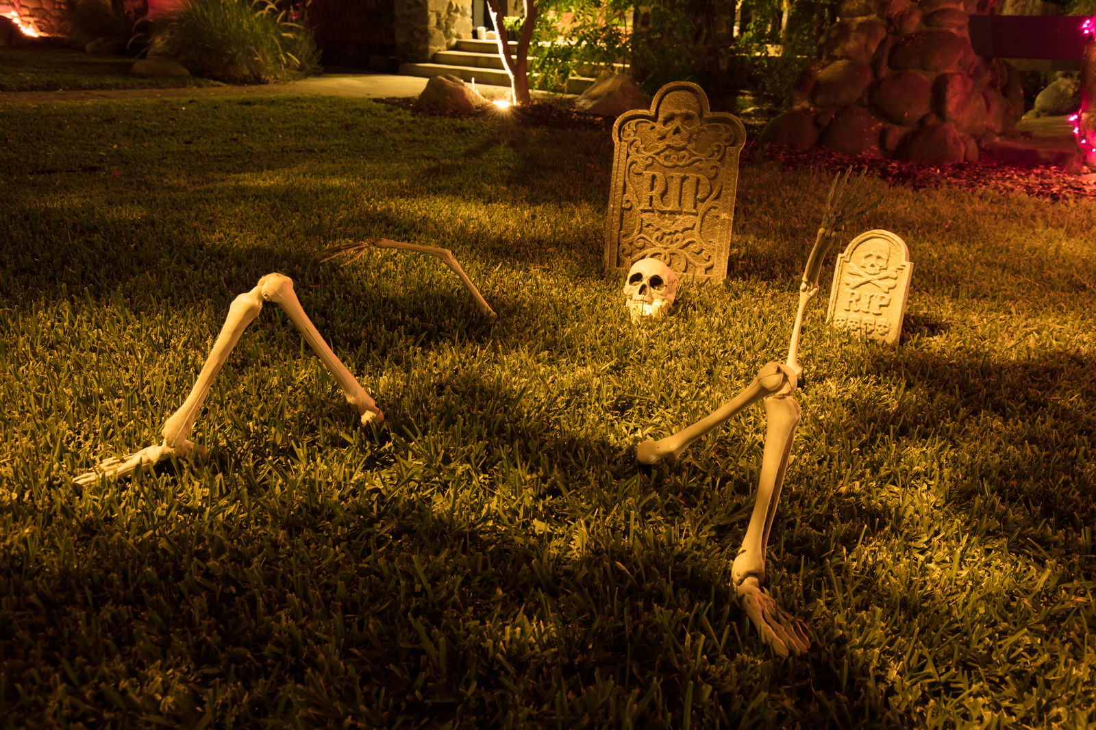 rs2-halloween-deko-skelett