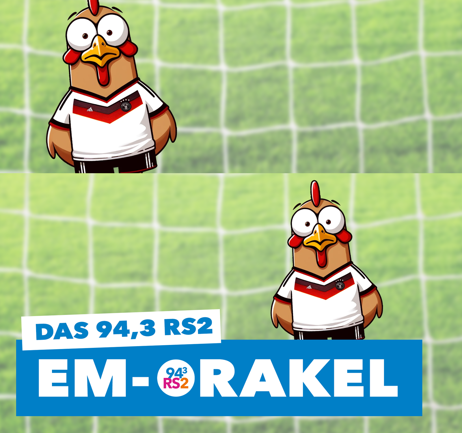 EM-Orakel Headerbild