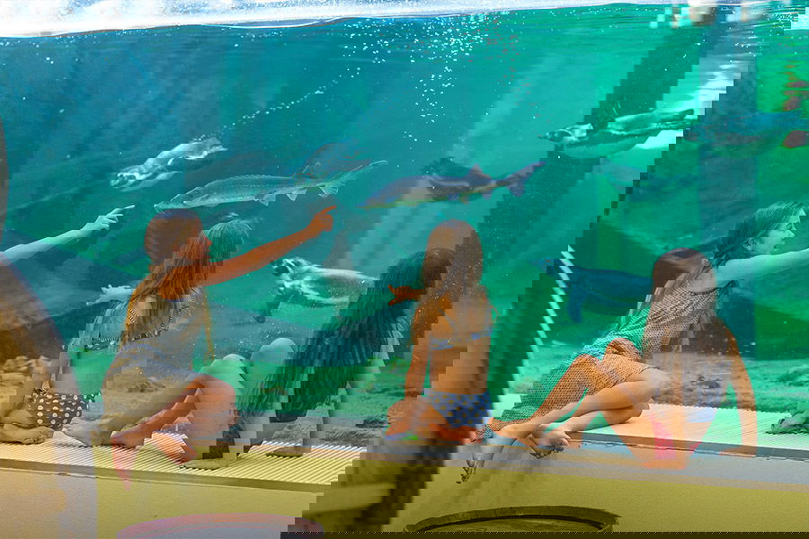 Scheibe Trockenspielplatz 2 