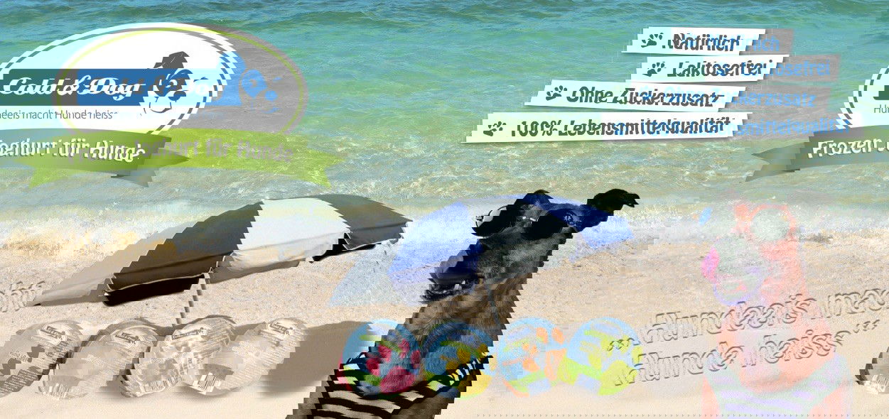 180822 Charlie LOVEFOREVER 01 kn Kopie 1280x1280