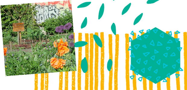 Urban Gardening 620x300